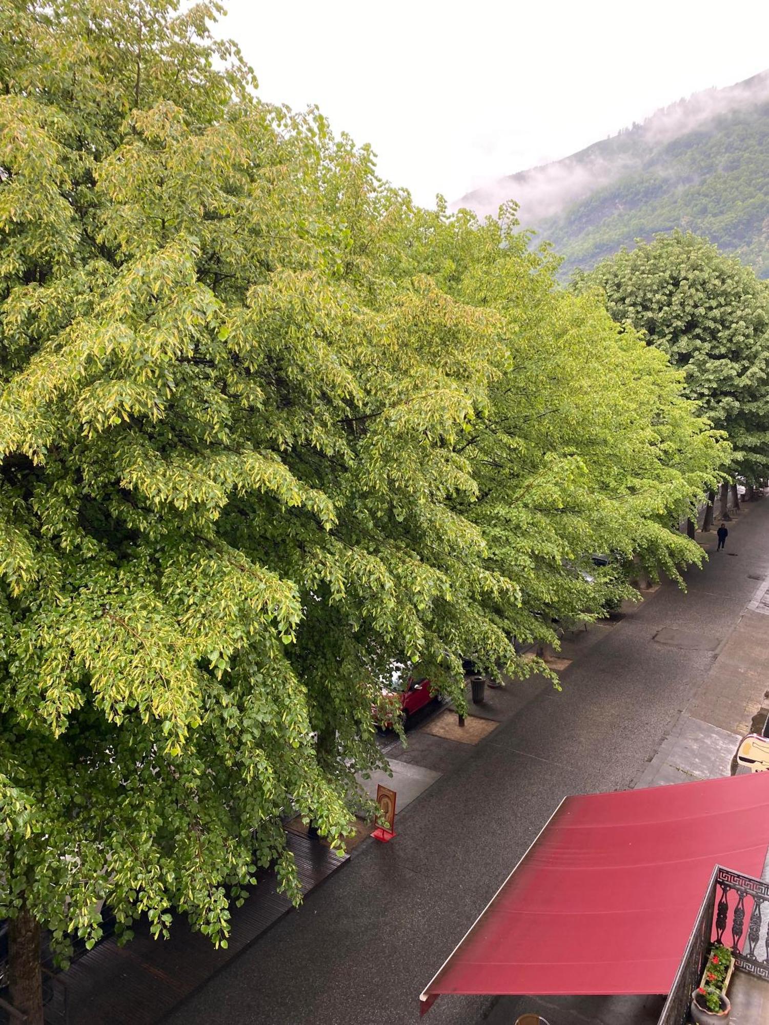 Au 47 Allees D'Etigny - Central & Standing - Avec Parking - Linge De Lit Et De Toilette Inclus Bagnères-de-Luchon 外观 照片